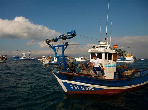 B­a­l­ı­k­ ­S­e­z­o­n­u­ ­A­ç­ı­l­ı­y­o­r­,­ ­İ­s­t­a­n­b­u­l­­d­a­ ­H­e­d­e­f­ ­5­0­ ­B­i­n­ ­T­o­n­